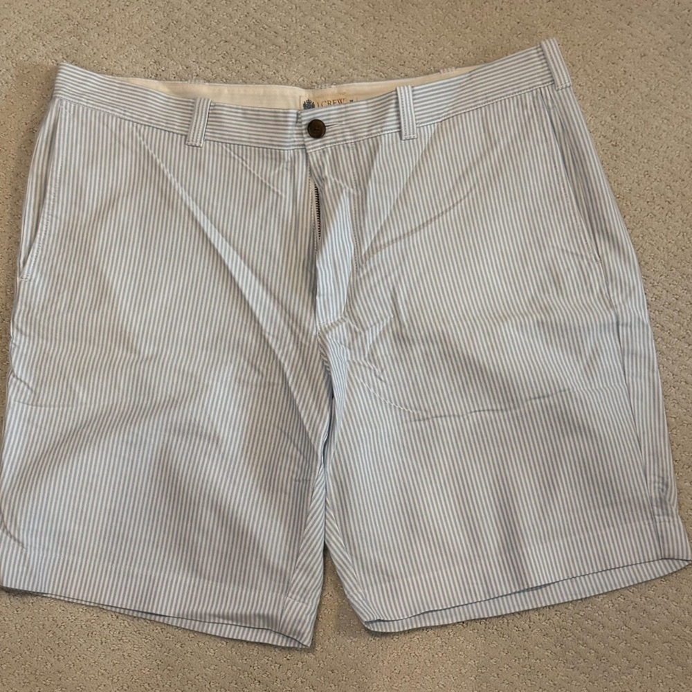 J. Crew Light Blue Pinstripe Men's Shorts